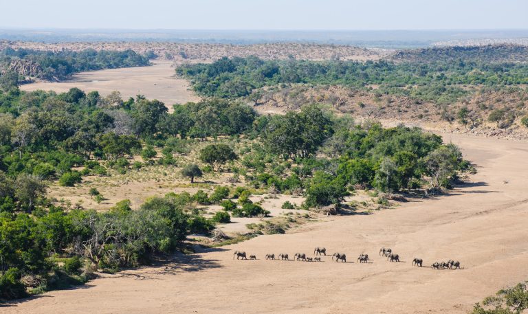 Mashatu Game Reserve